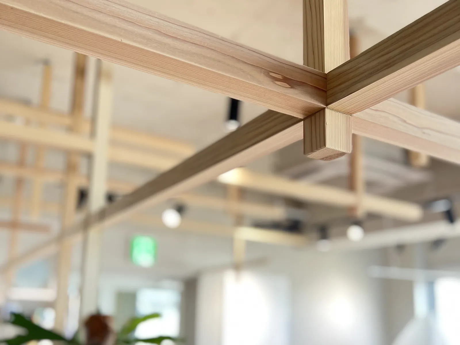 umily by RuCOR. 店内